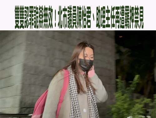 北市議員陳怡君、「饅頭主任」涉貪起訴 法官裁定續押禁見3月