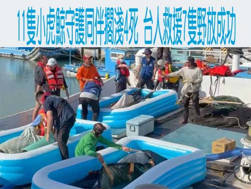 又開出！大樂透頭獎獨得1億 獎落萬丹鄉