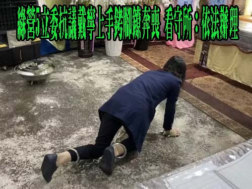 綠營5立委抗議戴寧上手銬腳鐐奔喪 看守所：依法辦理