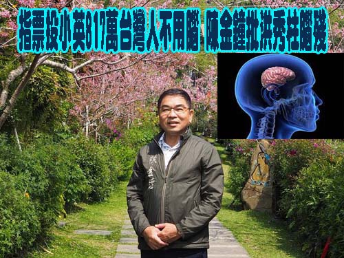 指票投小英817萬台灣人不用腦 陳金鐘批洪秀柱腦殘