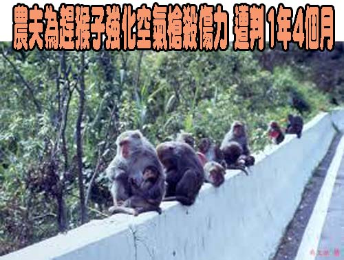 奧客停紅線被開單要店家付錢 原因曝光全網傻眼：臉皮多厚？
