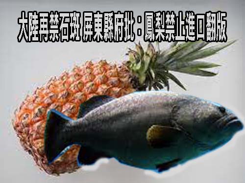 陸再祭禁令 陳吉仲：不排除到WTO申訴 「鳳梨都克服了石斑魚更沒問題」克服了石斑魚更沒問題」