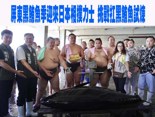 屏東黑鮪魚季迎來日本相撲力士 挑戰扛黑鮪魚試煉