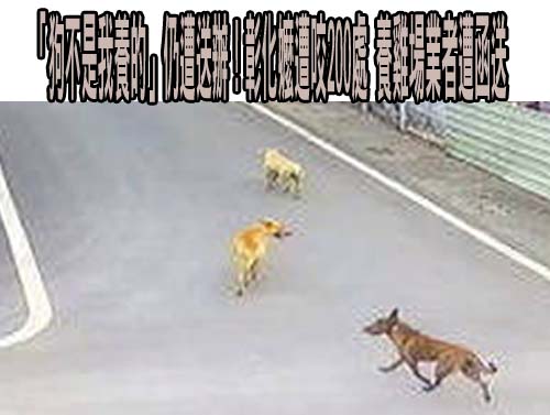 高雄破獲醫美詐騙集團 醫事司揭廣告「3大地雷」恐是違法業者