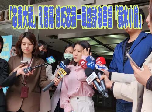 被徐巧芯罵「薪水小偷」 許淑華：「芯水小偷」是她的專屬頭銜