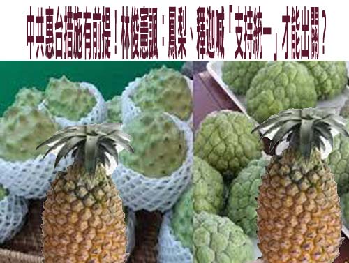 鄭習會後「躺平片」有續集 國民黨再推「不要戰爭，只要和平」