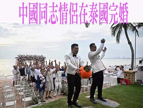 中國同志情侶在泰國完婚