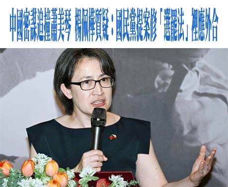 蕭美琴險遭攻擊？捷克稱「陸方策畫破壞行動」 陸外交部強硬回應