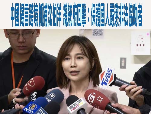 遭民進黨初選立委圍剿 柯志恩：支持邱議瑩就是支持總統府