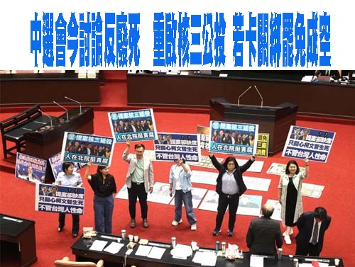 反戒嚴、移轉投票趕不上823公投 藍酸遺憾：綠害怕公投