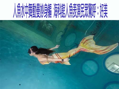 人魚水中舞動曼妙身軀 海科館人魚表演民眾驚呼：好美