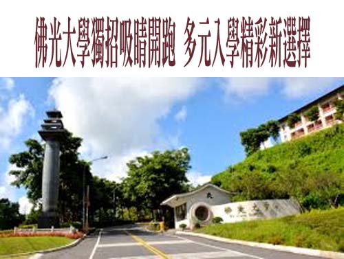 語言科系畢業「薪水好嗎」？過來人曝真相：要有第二專業
