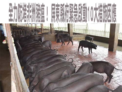 疑非洲豬瘟侵台 教育部：營養午餐穩定供應、廚餘妥善處理