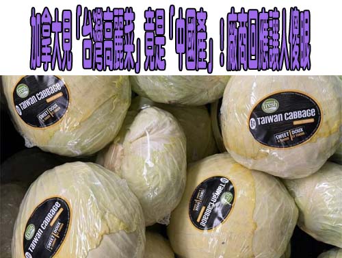  沖繩拉麵店驚見「AB菜單」？她揭不同語言竟不同價 網炸鍋：不是錢的問題