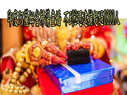 分心釀禍？印尼議員未成年兒無照自撞 副駕女友全裸