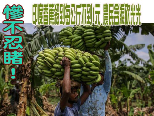 超怕被以色列趁機斬首！路透爆巴基斯坦出動戰機護送伊朗代表團