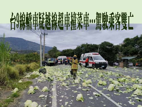 台9線轎車疑越線超車撞菜車…駕駛乘客雙亡 菜車2送醫