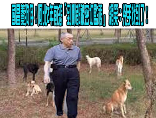 狗仔具扒糞精神 黃創夏：「國昌調查組」卻是潑糞令人噁心！