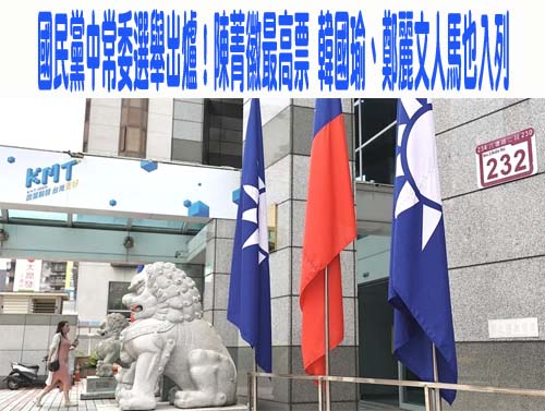 不再登記即當選！陳菁徽第1高票當選國民黨中常委 韓國瑜人馬