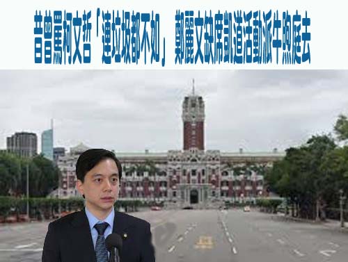 專家觀點／小草今上凱道挺柯 學者：藍白合終極挑戰在2028