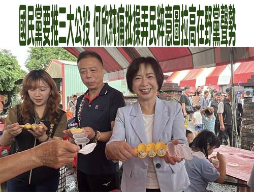  國民黨要推三大公投 何欣純痛批操弄民粹意圖拉高在野黨聲勢