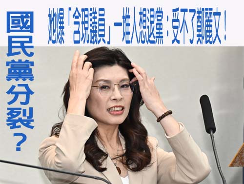 國民黨分裂？ 她爆「含現議員」一堆人想退黨：受不了鄭麗文！