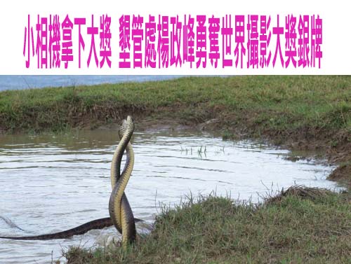 2歲幼兒遭拍打拖行不當對待 家長配秘錄器蒐證、教育局開罰