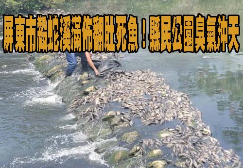 帶你深入「黑鮪魚故鄉」 東港食魚教育展17日開鑼