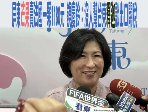 屏東芒果賣法國一顆1180元 饒慶鈴：沒人幫台東釋迦談出口關稅
