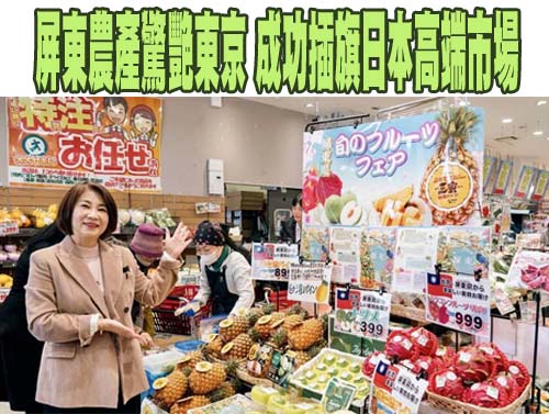 屏東縣「陸蟹之河」港口吊橋重建 學者憂生態危機