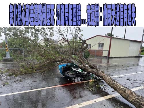 台灣黑熊首度入侵阿里山達邦工寮 開冰箱吃罐頭、雞蛋