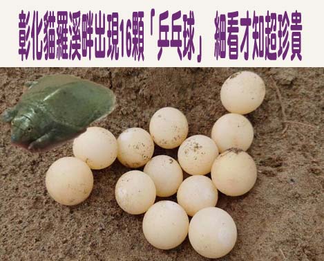 一年少6萬名！年少人口驚人減少 就剩這縣市敢生了