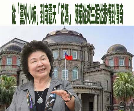 陳菊因病請辭監察院長獲准 賴總統擬不提新人選