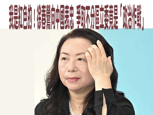 徐春鶯助中國拓展在台影響力被起訴 周軒：滲透行動布局縝密！