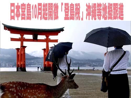 登山時地上蜂群突然發動攻擊 4人送醫 1女子住加護病房