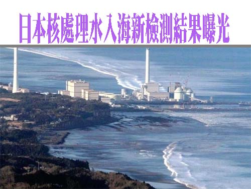 謝長廷稱微量放射性元素有益 民進黨立委：太過了、難解疑慮