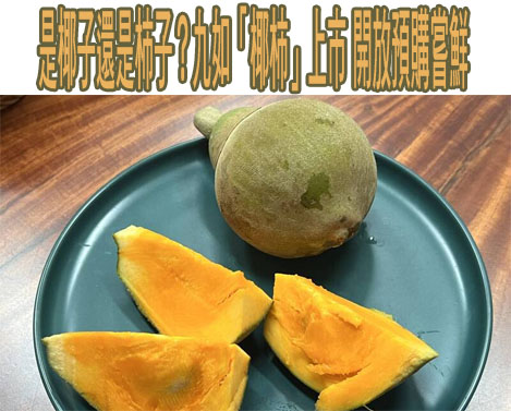 內埔「狂客音樂祭」嗨2天 歌王歌后接力