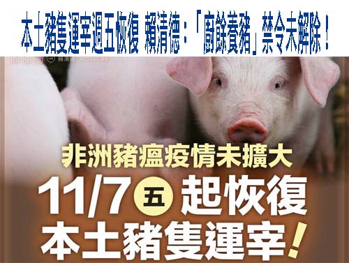 解禁了！ 無其他確診案例 明中午起開放活豬運輸、7日起拍賣屠宰解禁