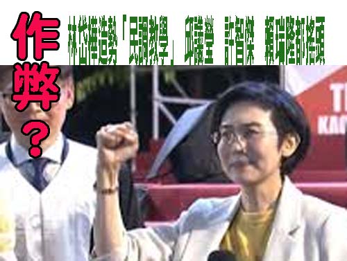 林岱樺造勢晚會爆民調謊報年齡遭批「跟國民黨死人連署有什麼不同