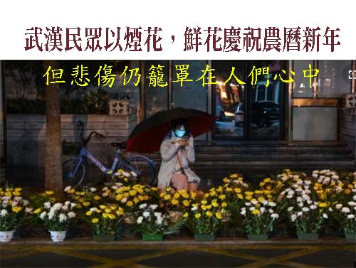 武漢民眾以煙花，鮮花慶祝農曆新年，但悲傷仍籠罩在人們心中