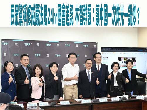 批民眾黨推李貞秀測試法律底線 陳培瑜：假離婚因公開財產有疑慮