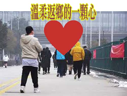 溫柔返鄉的一顆心