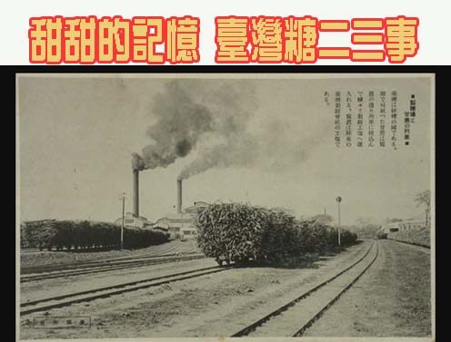 屏東家扶寄養家庭他們21年照顧19名寄養童獲衛福部表揚