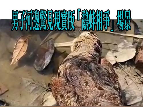 高中師出缺由國中部轉任遭投訴「師師相護」 大里高中︰依法辦理