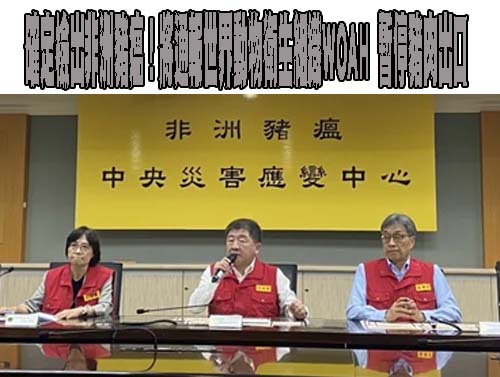 台中成豬瘟破口 江肇國：盧市長從頭到尾想的是她的政治生命