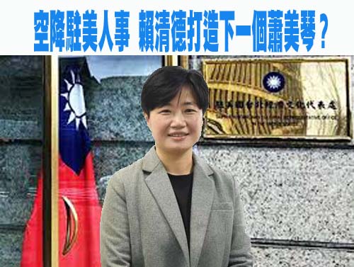 傳出任駐美副代表 楊懿珊只回兩個字