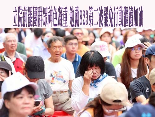 立院前罷團群眾神色凝重 勉勵823第二波罷免行動繼續加油
