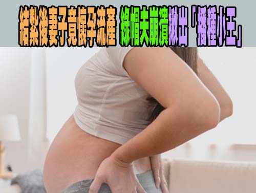 毒品咖啡包也要Labubu 北市刑大逮捕毒販查獲上千包毒品