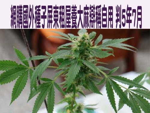 屏東1歲幼兒遭虐致腦出血 法院因「這原因」判父緩刑3年、母無罪