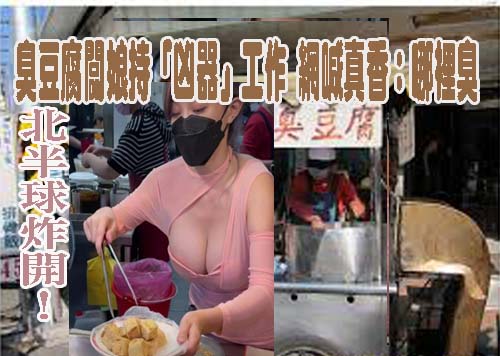 200多隻海豚游進台中港 民眾驚喜說好運兆